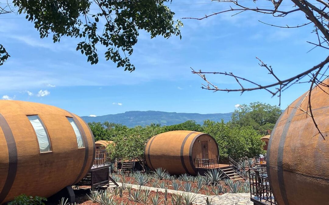 A Peek Inside “La Cofradia,” Where Cinco de Mayo Tequila Comes to Life…