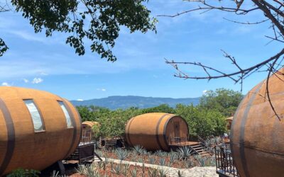 A Peek Inside “La Cofradia,” Where Cinco de Mayo Tequila Comes to Life…
